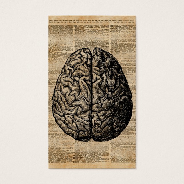 Human Brain Vintage Illustration Dictionary Art (Front)