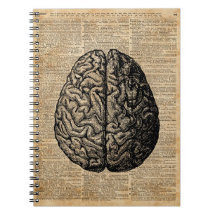 Human Brain Vintage Illustration Dictionary Art Notebook