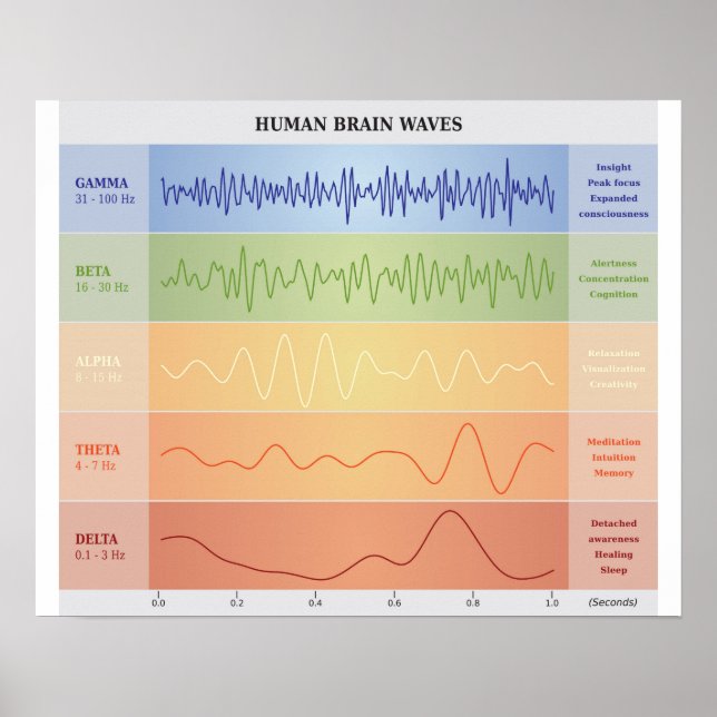 Human Brain Waves Diagram - Rainbow Colours Poster (Front)
