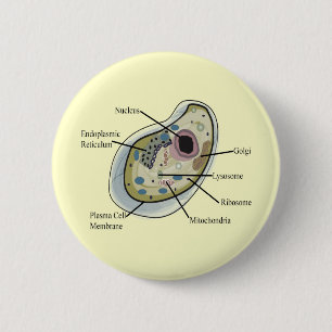 Human Cell Biology T-Shirts 2 Inch Round Button