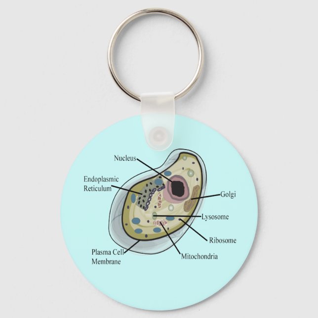 Human Cell Biology T-Shirts Keychain (Front)