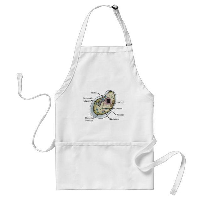 Human Cell Biology T-Shirts Standard Apron (Front)