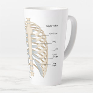 Human chest anatomy latte mug