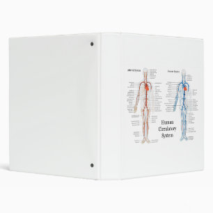 Human Circulatory System of Arteries and Veins Binder