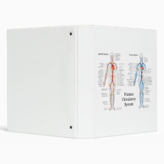 Human Circulatory System of Arteries and Veins Binder