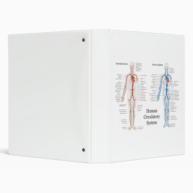 Human Circulatory System of Arteries and Veins Binder (Background)