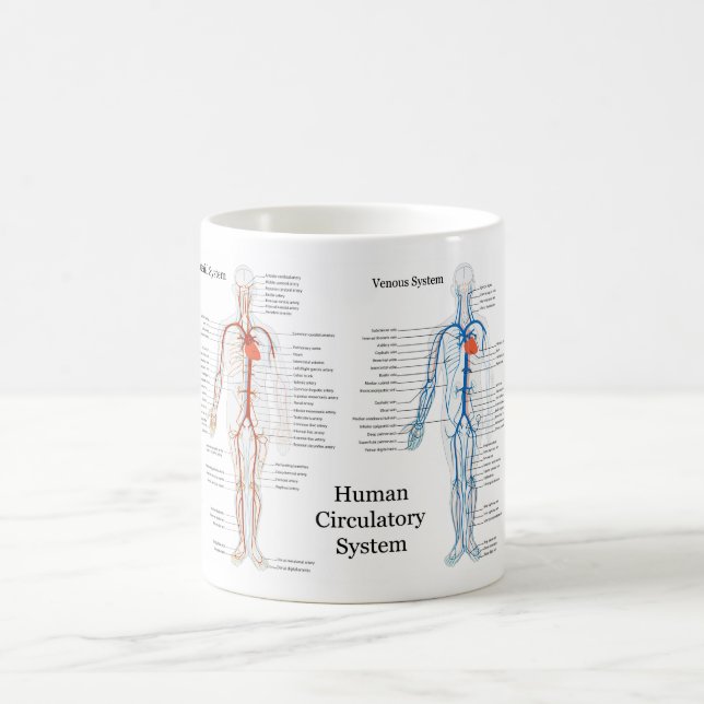 Human Circulatory System of Arteries and Veins Coffee Mug (Center)