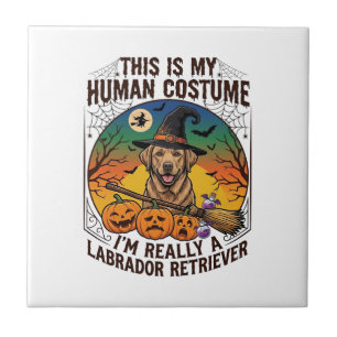 Human Costume Labrador Retriever Halloween Witch H Tile