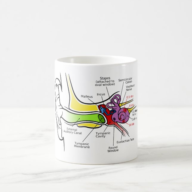 Human Ear Diagram with Cochlear Frequency Mapping Coffee Mug (Center)