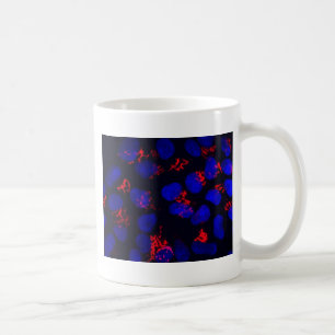 Human embryonic stem cells coffee mug
