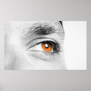 Human eye closeup poster