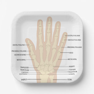 Human hand anatomy  Paper Plate