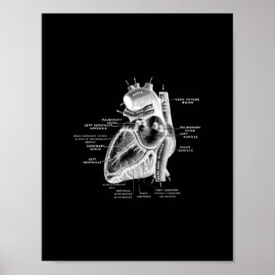 Human Heart Anatomy in Black and White Print