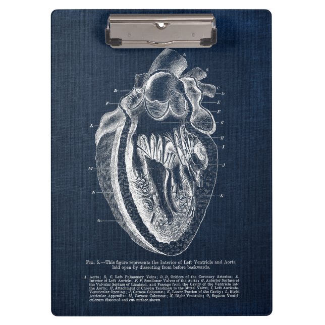 Human Heart Anatomy Interior View Clipboard (Front)