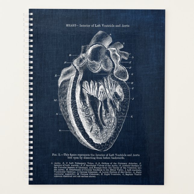 Human Heart Anatomy Interior View Planner (Front)