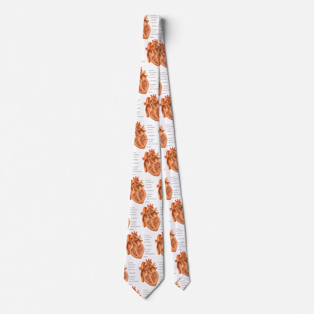 Human Heart Anatomy Medical Diagram Novelty Tie (Front)