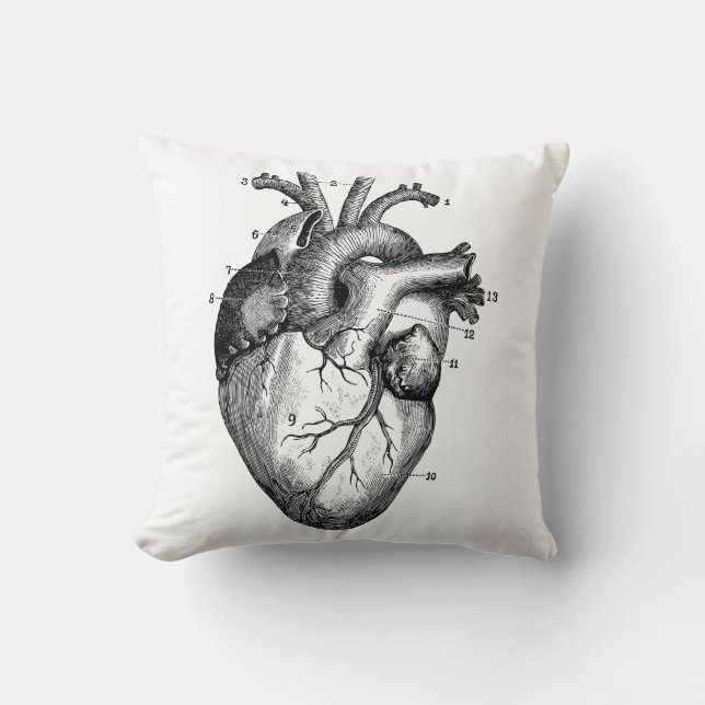 Human heart - anatomy throw pillow (Front)