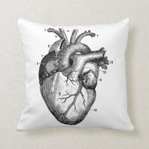 Human heart - anatomy throw pillow