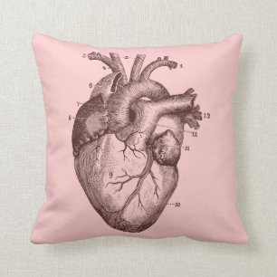 Human heart - anatomy throw pillow