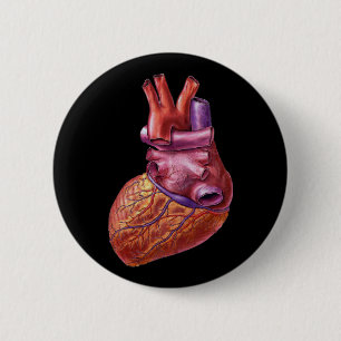 Human heart button