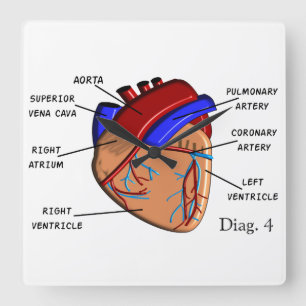 Human Heart Diagram Clock