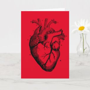 Human Heart Diagram greeting card for any occasion