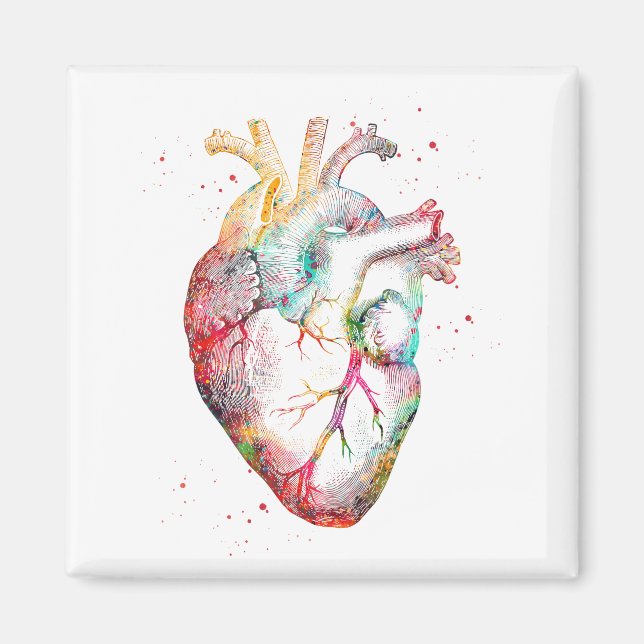 Human Heart Magnet (Front)