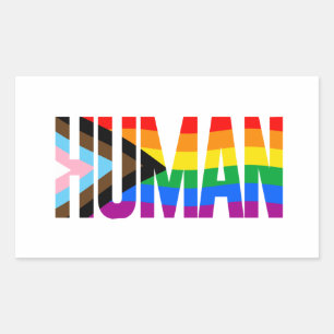 Human Inclusivity Pride Flag Sticker