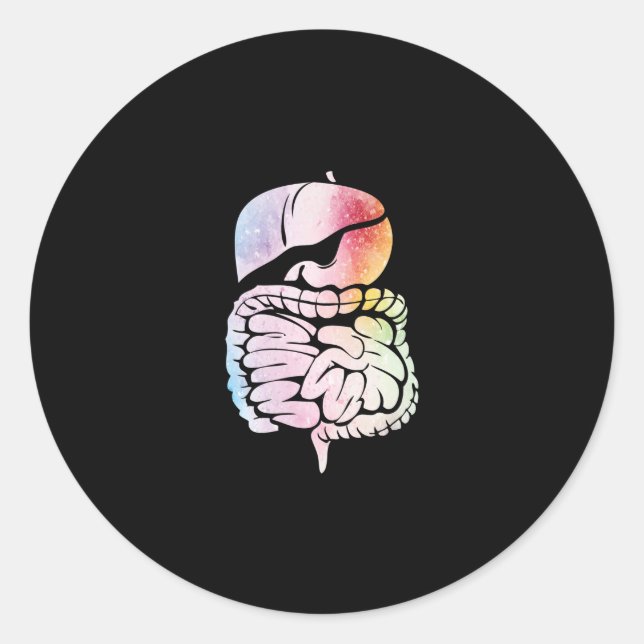 Human Internal Organs Anatomy Art Digestive System Classic Round Sticker (Front)