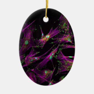 Human lung fibroblasts ceramic ornament