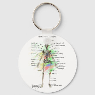 Human Male Skeleton key chain