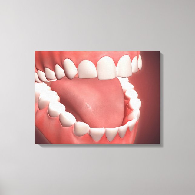 Human Mouth Open, Showing Teeth, Gums And Tongue Canvas Print (Front)