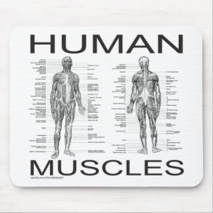 Human Muscles and Anatomy Mouse Pad