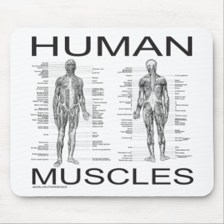 Human Muscles and Anatomy Mouse Pad