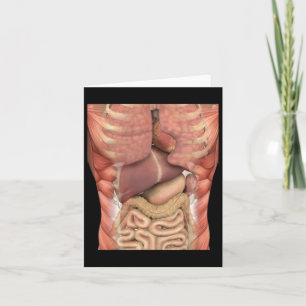 Human Muscles Organs Scary Anatomy Teacher Hallowe Card