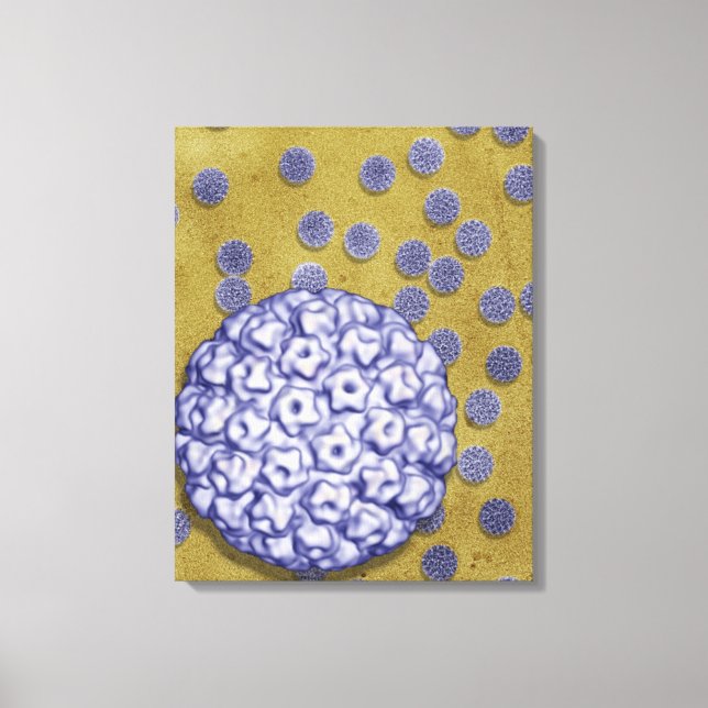 Human Papilloma Virus Canvas Print (Front)