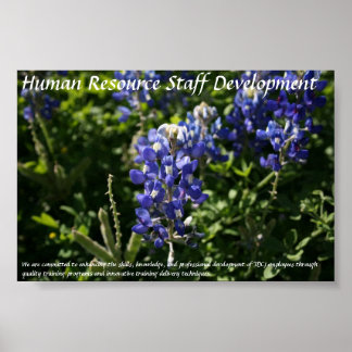 Human Resource Staff Development Blue Bonnets Poster