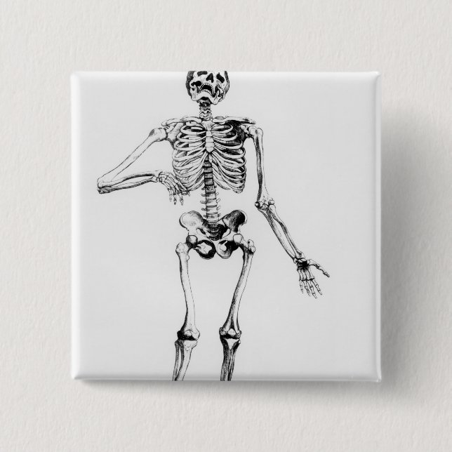 Human Skeleton 2 Inch Square Button (Front)