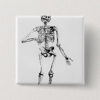 Human Skeleton