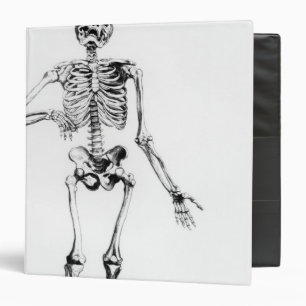 Human Skeleton Binder