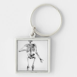 Human Skeleton Keychain