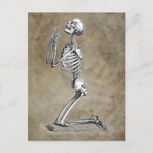Human Skeleton Kneeling in Prayer Postcard (Front)