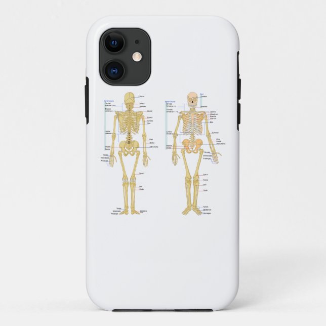 Human Skeleton labelled anatomy chart Case-Mate iPhone Case (Back)