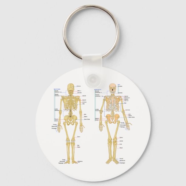 Human Skeleton labelled anatomy chart Keychain (Front)