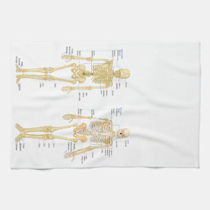 Human Skeleton labelled anatomy chart Kitchen Towel