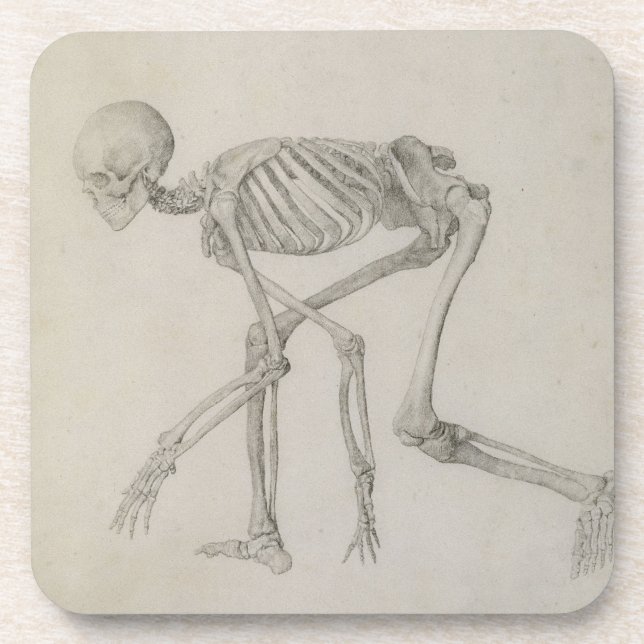 Human Skeleton: Lateral view in Crouching Posture, Coaster (Front)