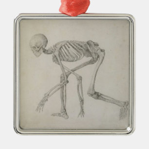 Human Skeleton: Lateral view in Crouching Posture, Metal Ornament