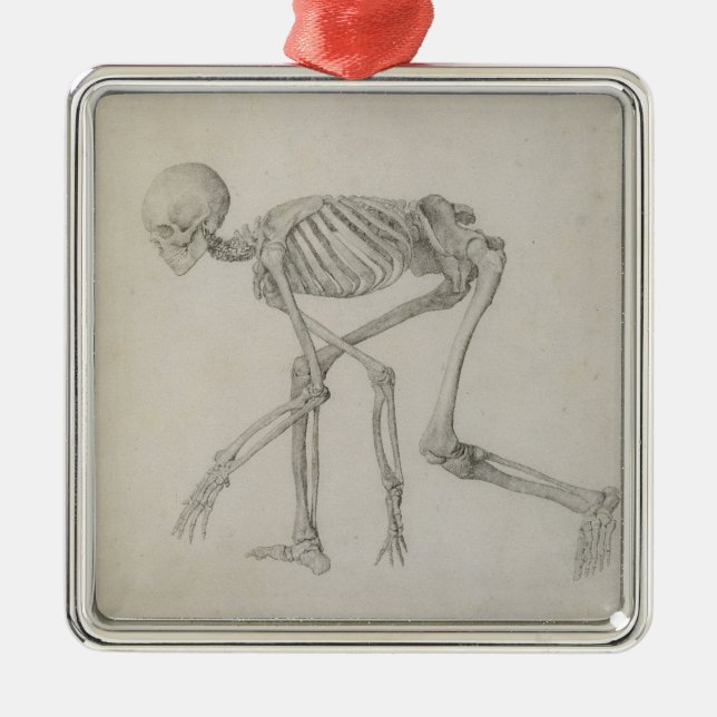 Human Skeleton: Lateral view in Crouching Posture, Metal Ornament (Front)
