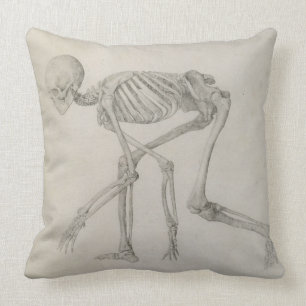 Human Skeleton: Lateral view in Crouching Posture, Throw Pillow