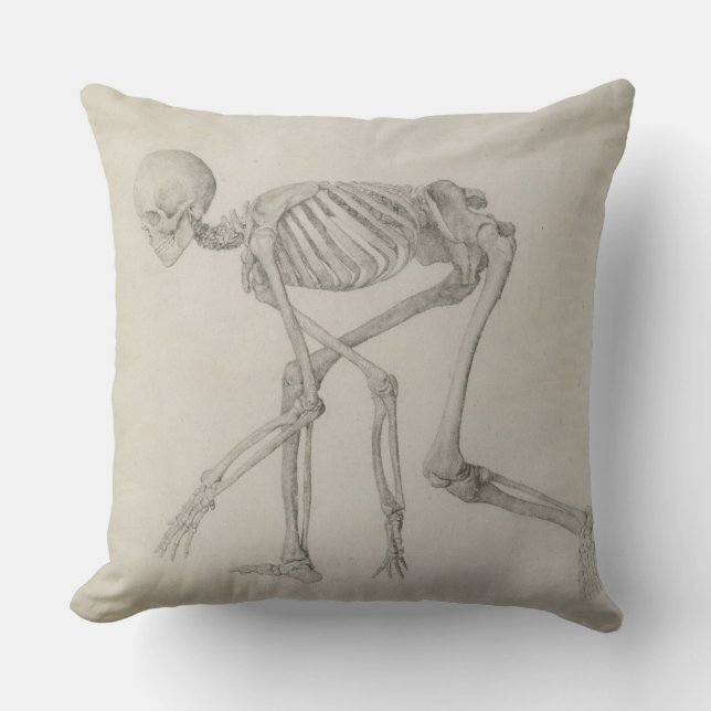 Human Skeleton: Lateral view in Crouching Posture, Throw Pillow (Front)